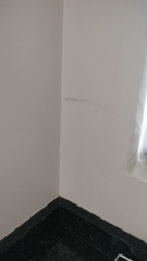 IMG20250106153816