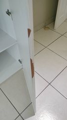 IMG20250106154246