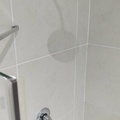 IMG20250106154425