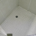 IMG20250106154427