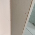 IMG20250106154455