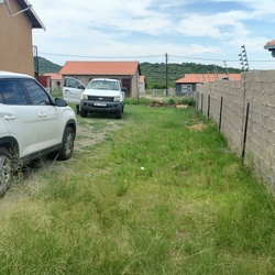 95 blesbok - Thebelihle outgoing