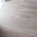 IMG20250217150653